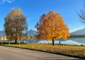 Hopfensee Herbst